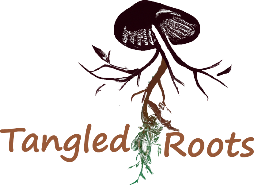 Shipping policy tangled roots